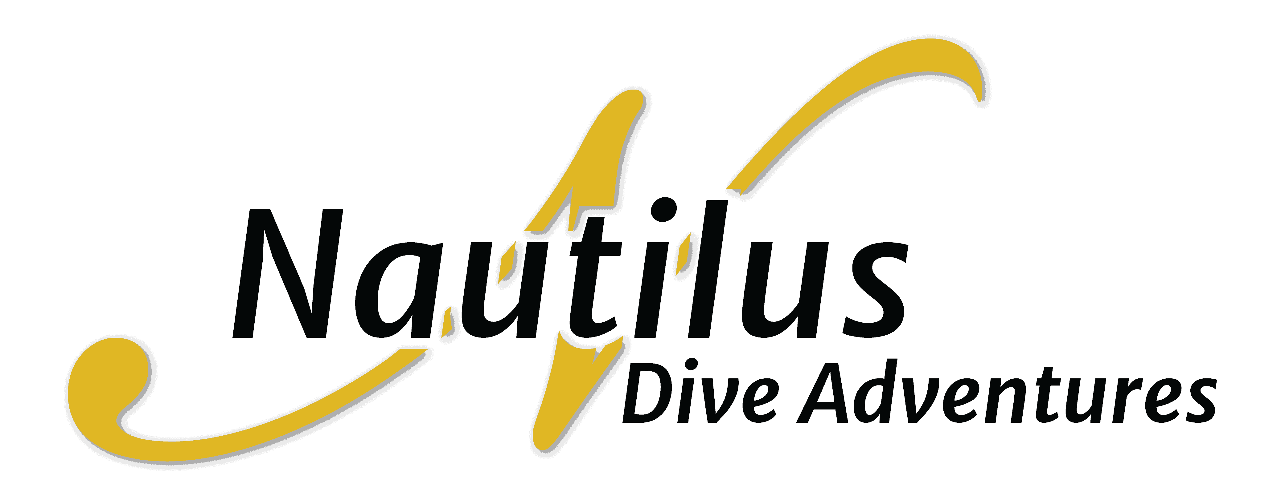 2020-Nautilus-logo-standard