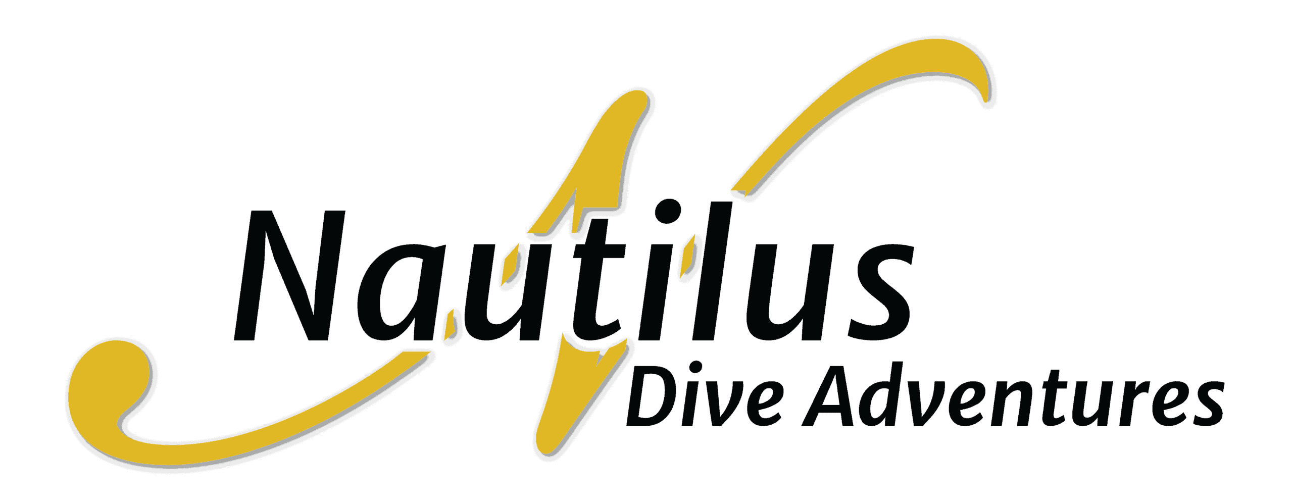 2020-Nautilus-logo-standard.png